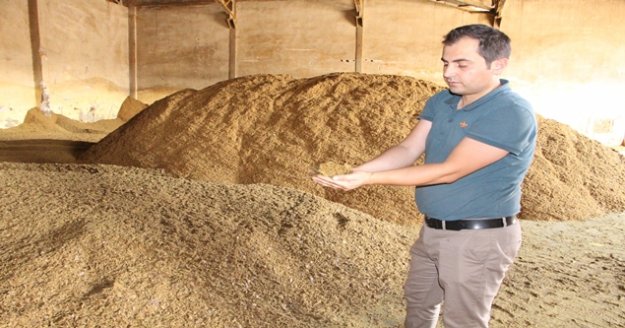 Bu yem altın değerinde