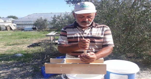 Çam ağacından imal etti, zeytin üreticisinin umudu oldu