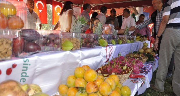 Gazipaşa 10. Çekirdeksiz Nar ve Tropikal Meyve Festivali başladı
