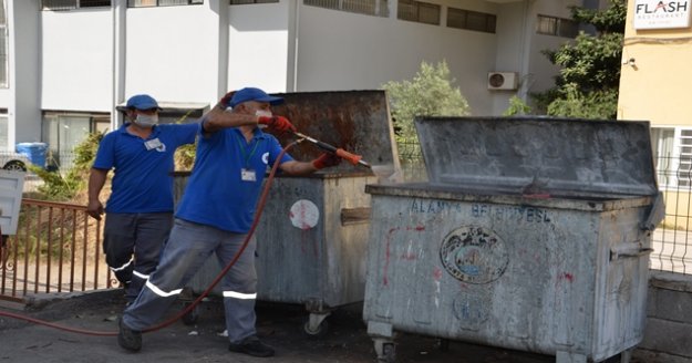 Sinekle etkin mücadele sürüyor
