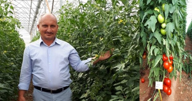 Yok mu Alanyalı üreticinin bu feryadını duyan?