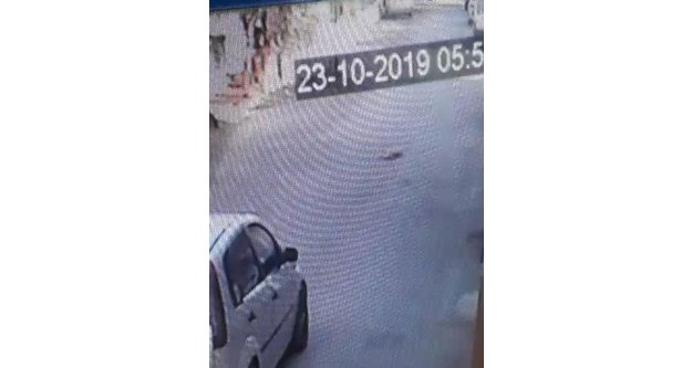 Yolda uyuyan köpeği ezdi, yoluna devam etti