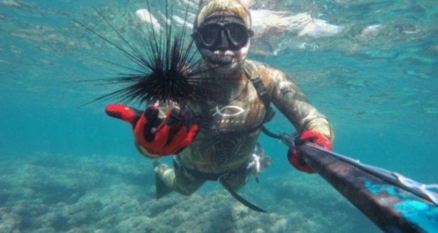 Dikkat! Bu zehirli Alanya'da denizde görüntülendi