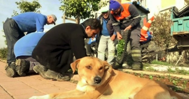 6 aydır 'Gel Oğlum' ile mesai yapıyor, onsuz adım atamıyorlar