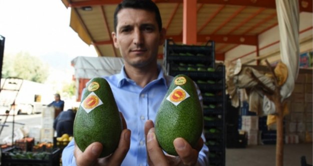 Alanya'da havalar soğudu fiyatlar yükseldi