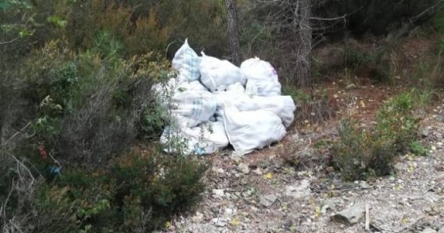Alanya'da terkedilmiş 13 çuval avokado bulundu