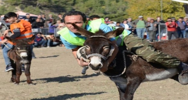 Eşekler üzerinde iki takımın kıran kırana futbol maçı