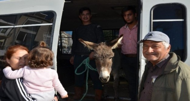 Yaylaya terk edilen eşek için seferber oldular
