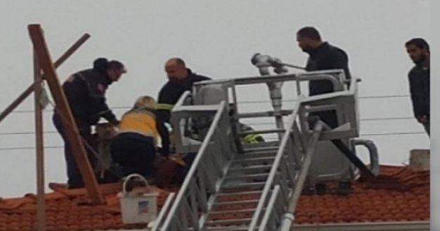 Alanya’da yüksek gerilime kapıldı!