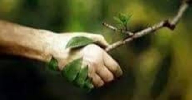 Cimrin: Doğa bizim camimizdir