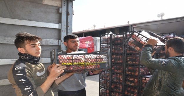 Depremzedelere 40 tonun üzerinde meyve-sebze