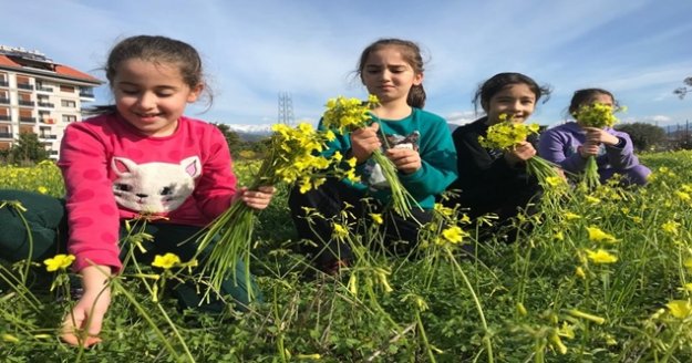 Gazipaşa'da kış ortasında bahar sevinci