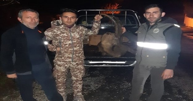 Kaçak yaban keçisi avına 30 bin TL ceza