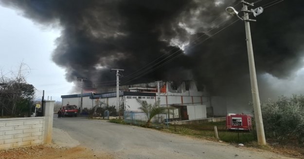 Sebze meyve deposunda yangın