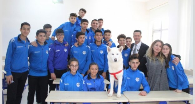 Alanya'da müdürün internetten sahiplendiği köpek okullu oldu