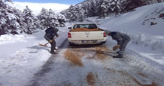 Alanya Kırsalı’ndaki yollarda buzlanmaya dikkat