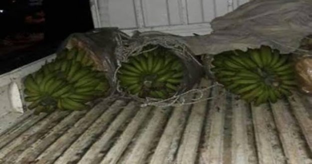 Alanya’da 600 kilogram muz çalan 3 şüpheli yakalandı