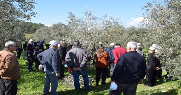 Çiftçilere uygulamalı budama eğitimi