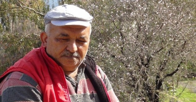 Gazipaşa'ya bahar erken geldi