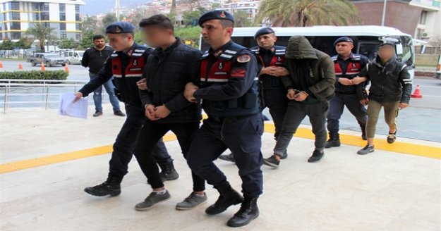 Alanya'da avokado hırsızları jandarmaya takıldı