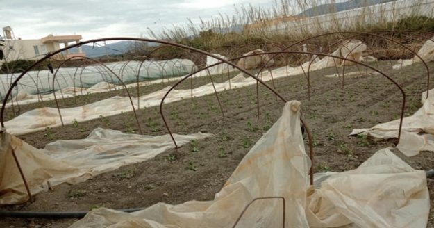 Alanya'da şiddetli fırtına seraları vurdu!