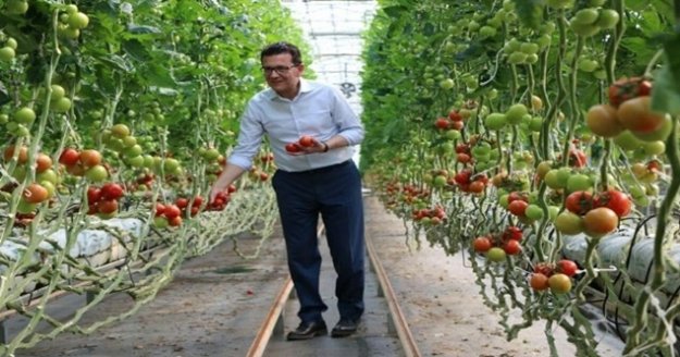 Çiftçiye faizsiz ve indirimli kredi desteği