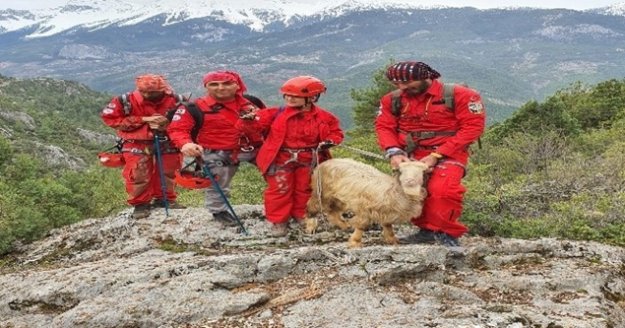 Gündoğmuş'da mağarada mahsur kalan keçiyi AKUT kurtardı