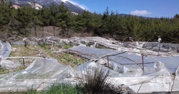 Kaş'ta hortum seraları vurdu