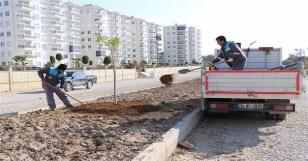 Okurcalar Mahallesinde peyzaj düzenlemesi yapıldı