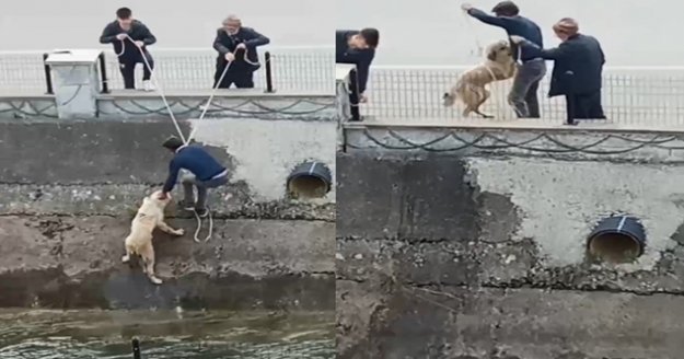 Su kanalına düşen köpeği itfaiye erleri gibi kurtardılar