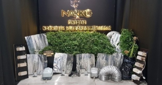 Villada klasik müzik eşliğinde kenevir yetiştiren 4 şüpheli yakalandı