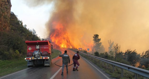 Gazipaşa alev alev yandı! 800 arısı için gözyaşı döktü