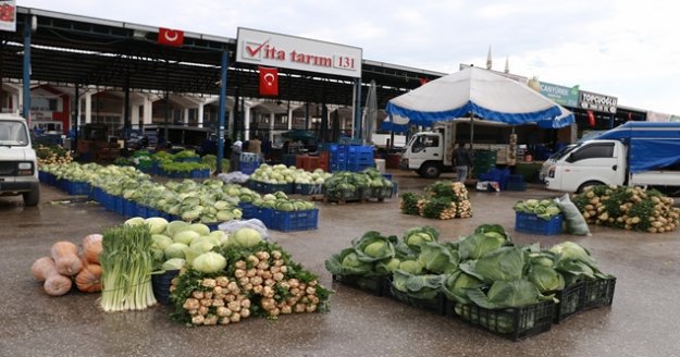 Ürün bolluğu yaşanan Antalya halinden Türkiye'ye sebze meyve sevkıyatı tam gaz devam ediyor