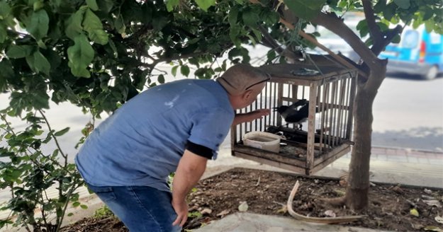 Balıkçının kediden kurtardığı kargayla 8 yıllık dostluğu görenleri şaşırtıyor