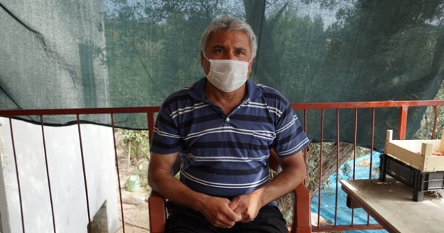 Gazipaşa'da kenenin ısırdığı çiftçide Kırım Kongo virüsü tespit edildi
