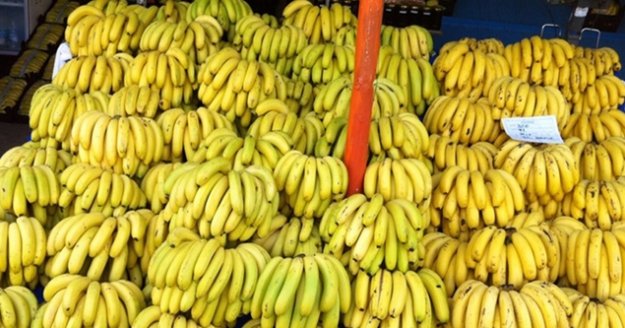 Muz üretimi 6 kat artışla 550 bin tona ulaştı