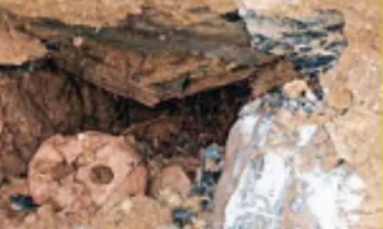 Alanya'da 8-10 yaşlarında 2 çocuğa ait iskelet şoku