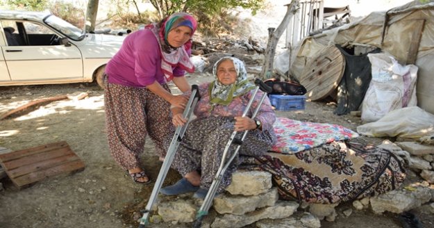 Antalya'da engelli kadının yanan evinden sadece köpeği kurtuldu