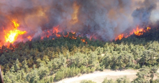Çanakkale'deki orman yangını yaşanan Yalova köyü tahliye ediliyor!