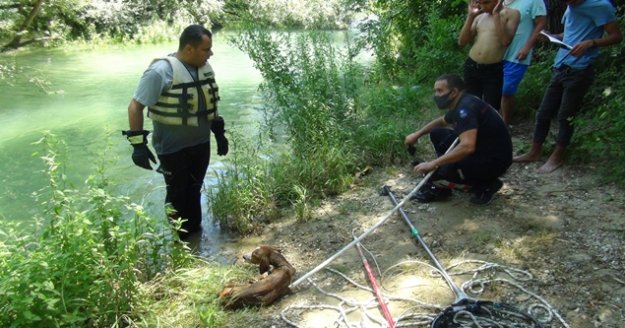 Suyun aniden yükselmesiyle şelalede mahsur kalan köpek ölmek üzereyken kurtarıldı