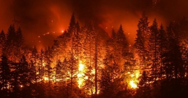 Manavgat'taki orman yangınlarında 13 hektarlık alan zarar gördü