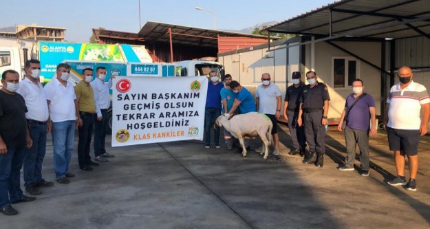 Taburcu olan Başkan Yücel için kurban kestiler