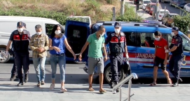 Alanya'da avakado hırsızları fotokapana yakalandı