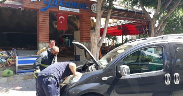 Alanya'da itfaiyeden kedi kurtarma operasyonu