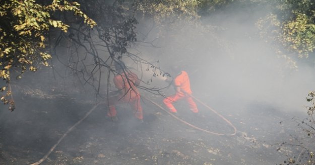 Alanya’da çalılık alanda yangın paniği