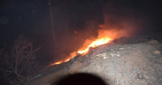 Antalya'daki orman yangınının ilerlemesi durduruldu