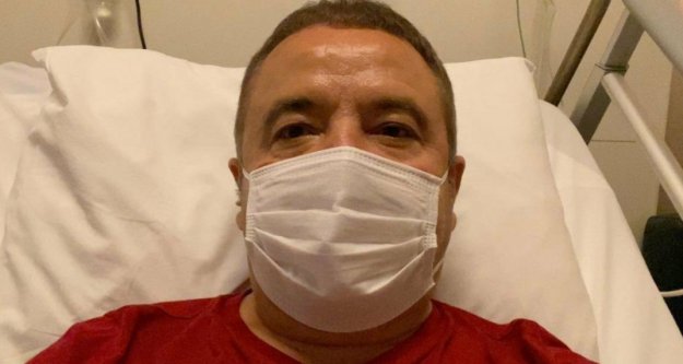 Böcek için manevi destek kampanyası başlatıldı