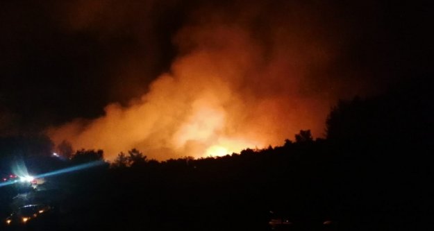 Komşuda yerleşim alanlarını tehdit eden orman yangını