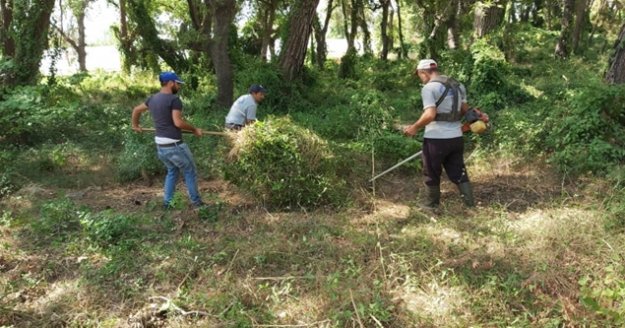 Mezarlıklarda kapsamlı temizlik