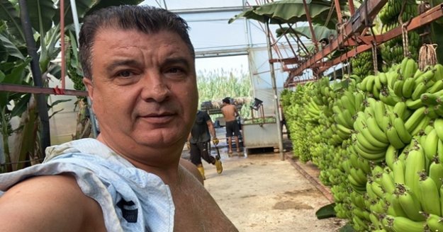 Serasında bir hevenkte 134 kilogram muz üretti